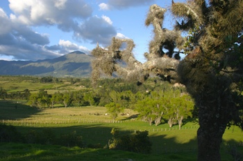 This photo of the beautiful Colombian countryside was taken by photographer Mateo Saenz O'Mara from New York, New York.